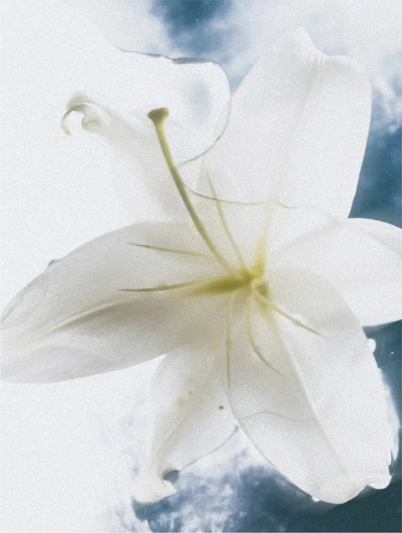 Bodycrème Gevoelige Huid