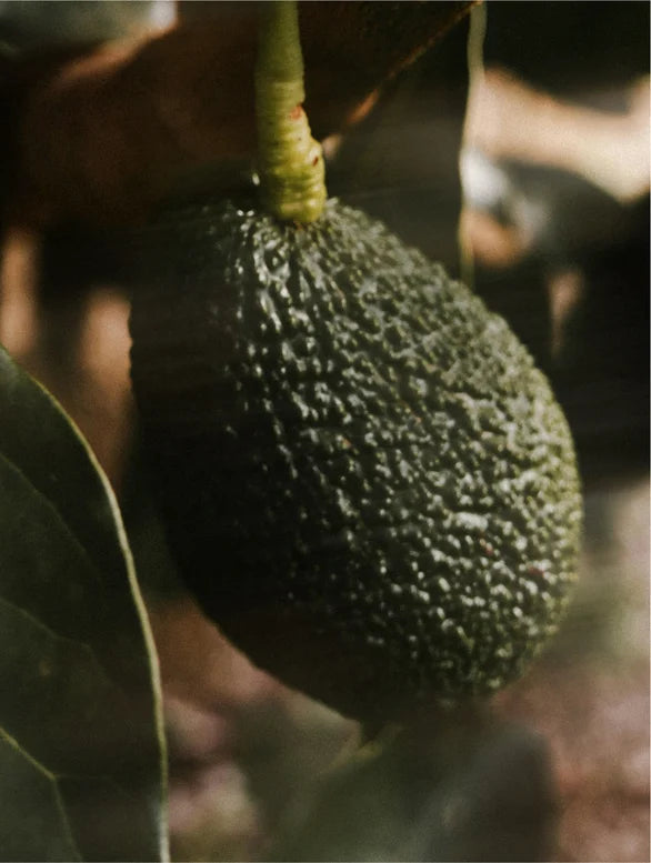Vitamine C-serum